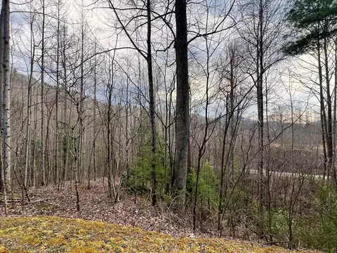 17 Garnet Rd, Sylva, NC 28779 photo 14
