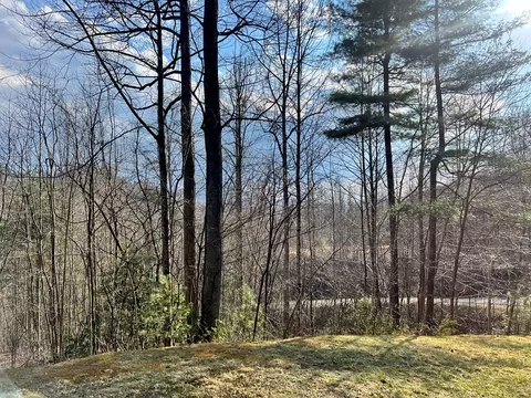 17 Garnet Rd, Sylva, NC 28779 photo 15