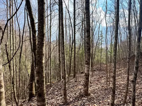 17 Garnet Rd, Sylva, NC 28779 photo 11