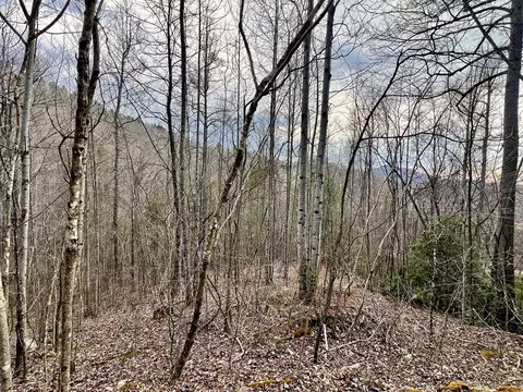 17 Garnet Rd, Sylva, NC 28779 photo 13