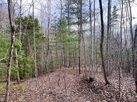 17 Garnet Rd, Sylva, NC 28779 photo 9