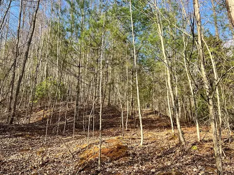 17 Garnet Rd, Sylva, NC 28779 photo 10