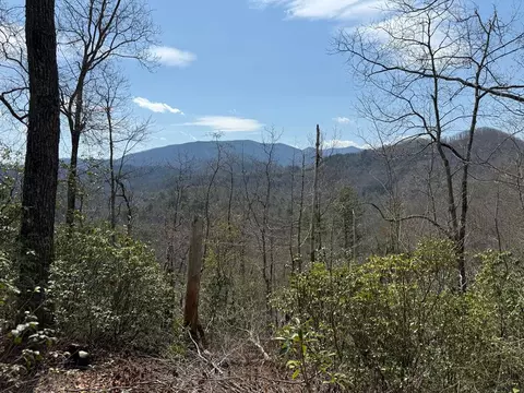 128 Mamies Way, Robbinsville Graham, NC 28771