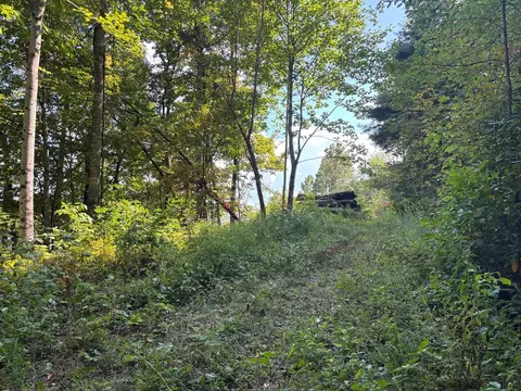 1887 Monteith Branch Rd, Sylva, NC 28779 photo 34