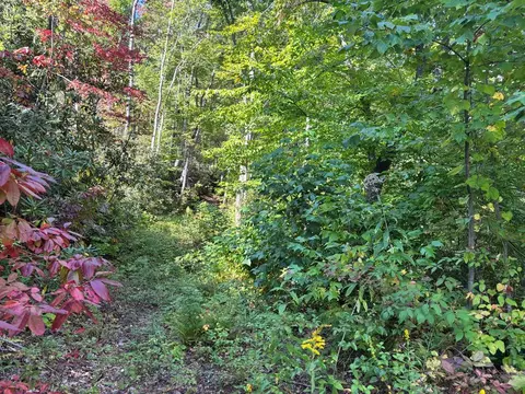1887 Monteith Branch Rd, Sylva, NC 28779 photo 27
