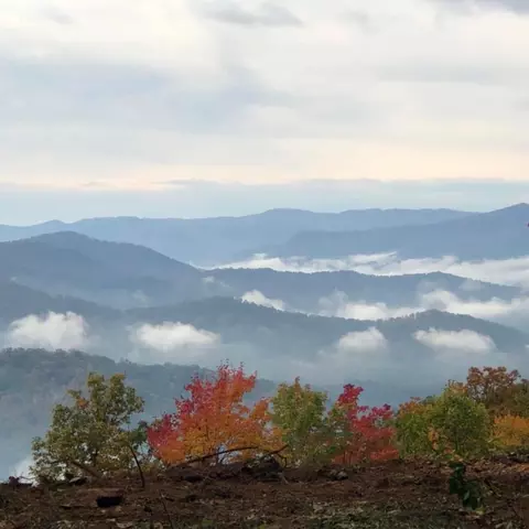 1887 Monteith Branch Rd, Sylva, NC 28779 photo 40