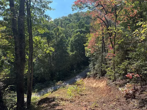 1887 Monteith Branch Rd, Sylva, NC 28779 photo 24