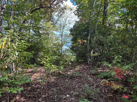 1887 Monteith Branch Rd, Sylva, NC 28779 photo 26