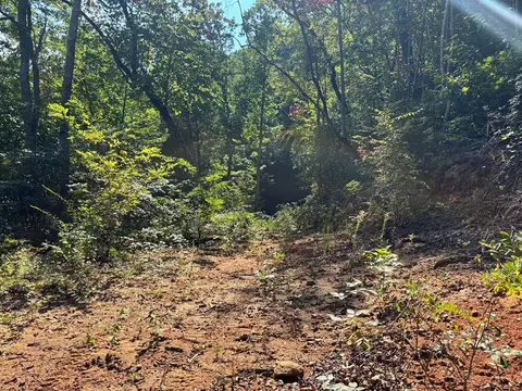 1887 Monteith Branch Rd, Sylva, NC 28779 photo 28