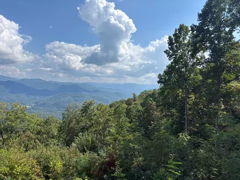 1887 Monteith Branch Rd, Sylva, NC 28779 photo 2