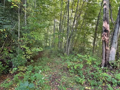 1887 Monteith Branch Rd, Sylva, NC 28779 photo 33