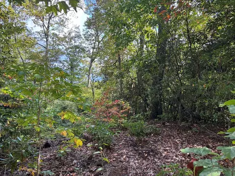 1887 Monteith Branch Rd, Sylva, NC 28779 photo 25