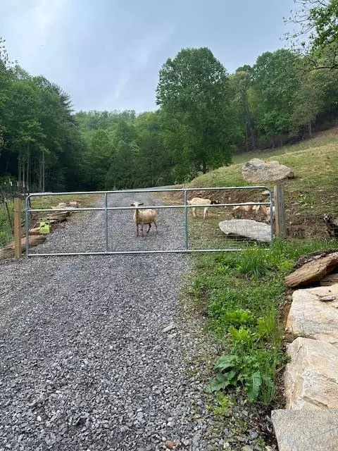 1887 Monteith Branch Rd, Sylva, NC 28779 photo 20