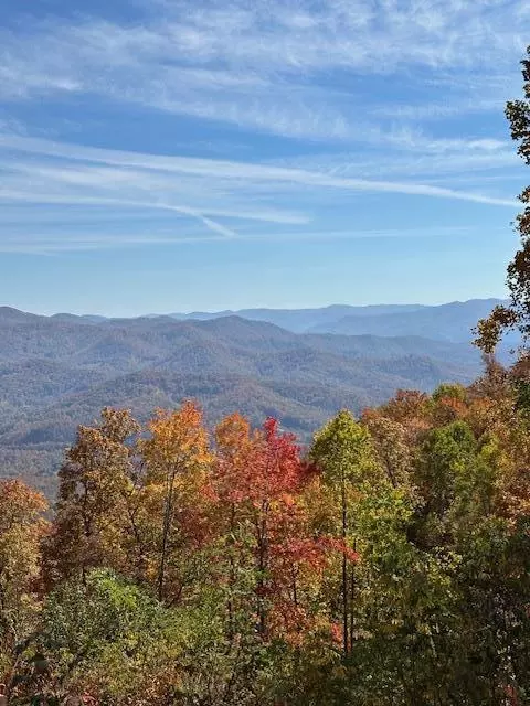 1887 Monteith Branch Rd, Sylva, NC 28779 photo 39