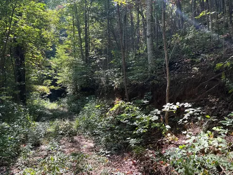1887 Monteith Branch Rd, Sylva, NC 28779 photo 11