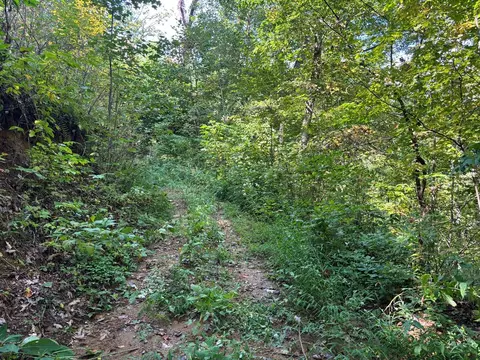 1887 Monteith Branch Rd, Sylva, NC 28779 photo 30
