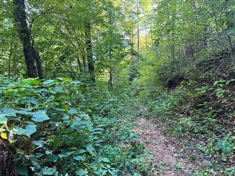 1887 Monteith Branch Rd, Sylva, NC 28779 photo 31