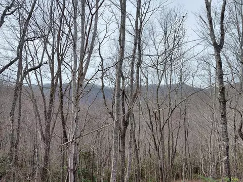 11 Houndog Trl, Bryson City, NC 28713