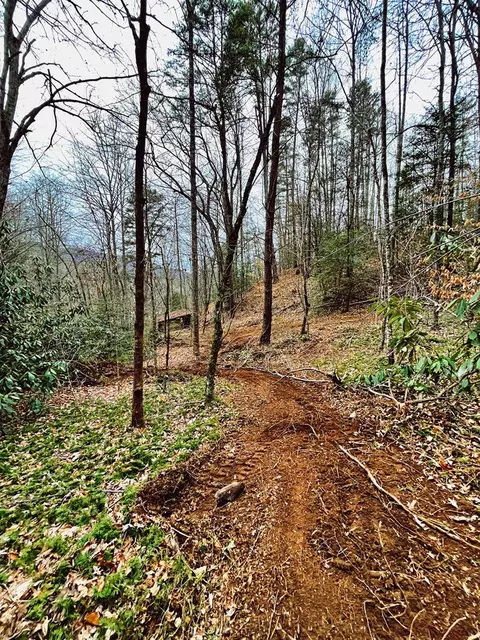 105 Marble Dr, Sylva, NC 28779 photo 12
