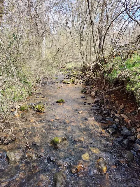 Other - 2960 Clarks Chapel Rd, Franklin, NC 28734 photo 8 of 14