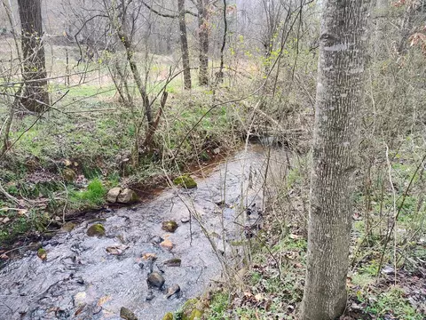 Other - 2960 Clarks Chapel Rd, Franklin, NC 28734 photo 9 of 14