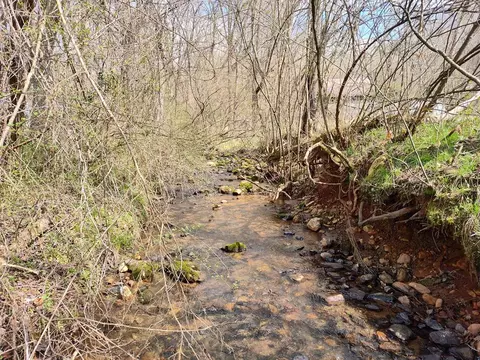 Other - 2960 Clarks Chapel Rd, Franklin, NC 28734 photo 5 of 14