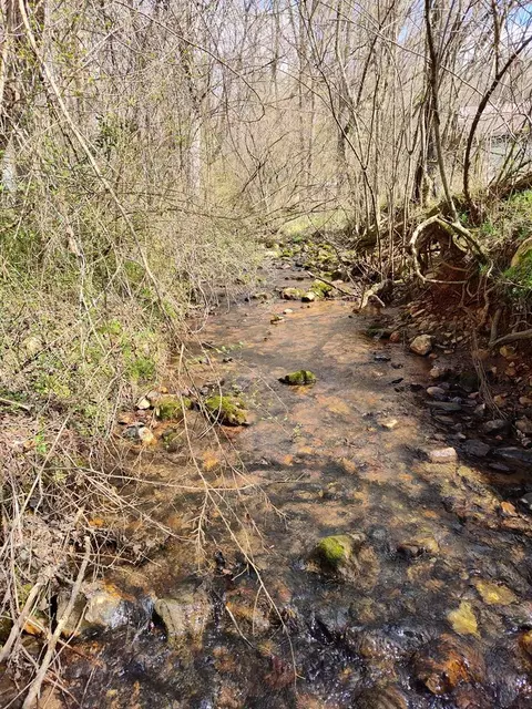 Other - 2960 Clarks Chapel Rd, Franklin, NC 28734 photo 4 of 14