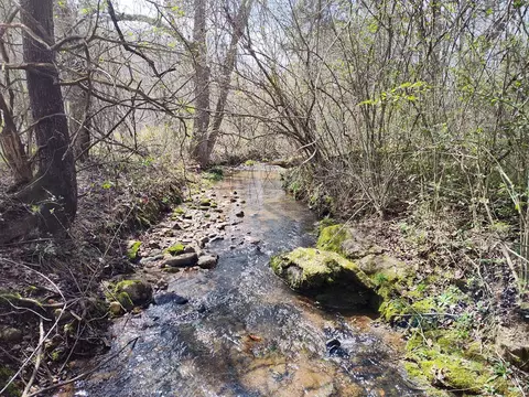 Other - 2960 Clarks Chapel Rd, Franklin, NC 28734 photo 7 of 14