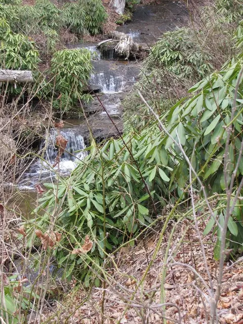 580 Robinson Creek Rd, Glenville, NC 28736