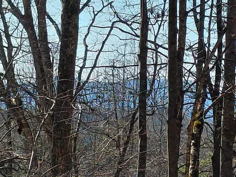 480 Calebs Way, Franklin, NC 28734