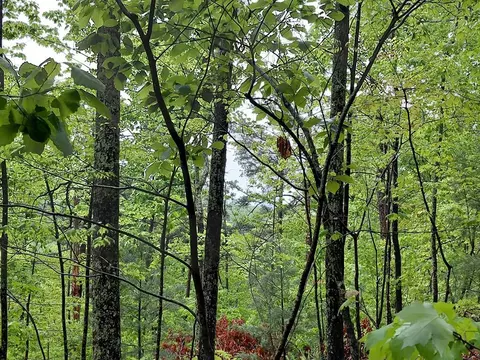 lot3 Burning Ember Trl, Murphy, NC 28906 photo 2