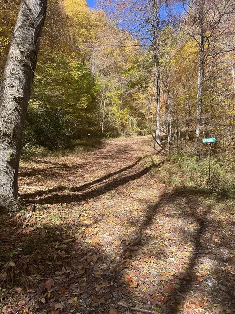41 High Springs Rd, Bryson City, NC 28713