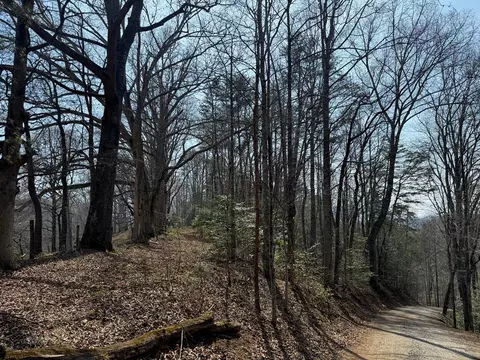 00 Lot 1 2 Sec C Boot Hill La, Whittier, NC 28789