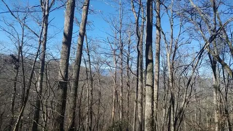 lot38 Cave Springs Rd, Cullowhee, NC 28723