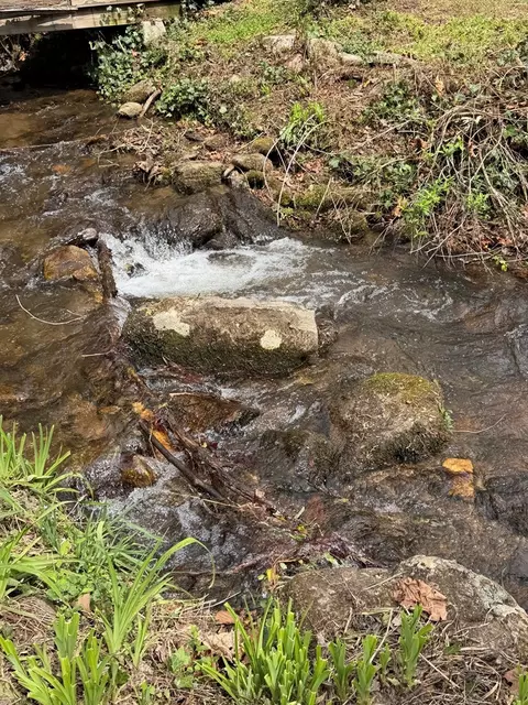 Other - 28 Red Brg, Sylva, NC 28779 photo 9 of 12