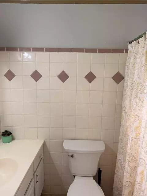 Bath - 29 Regal Ave, Sylva, NC 28779 photo 1 of 4
