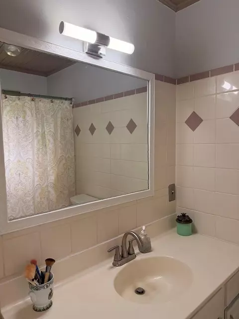 Bath - 29 Regal Ave, Sylva, NC 28779 photo 2 of 4