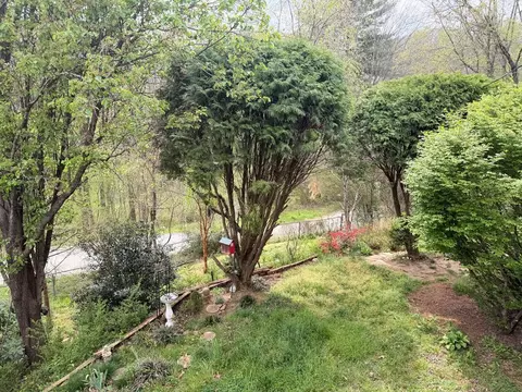Exterior - 29 Regal Ave, Sylva, NC 28779 photo 13 of 15