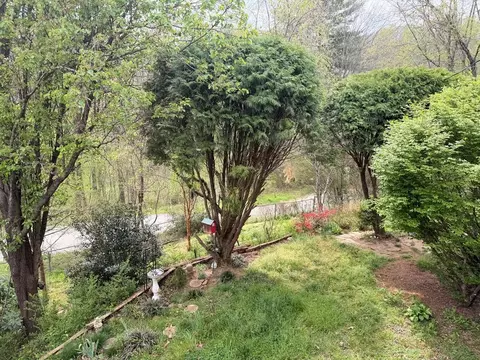 Exterior - 29 Regal Ave, Sylva, NC 28779 photo 15 of 15