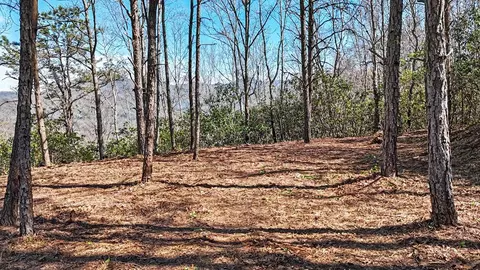 247 Red Hawk Blf, Sylva, NC 28779 photo 2