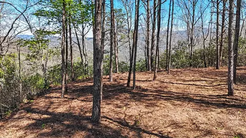 247 Red Hawk Blf, Sylva, NC 28779 photo 11