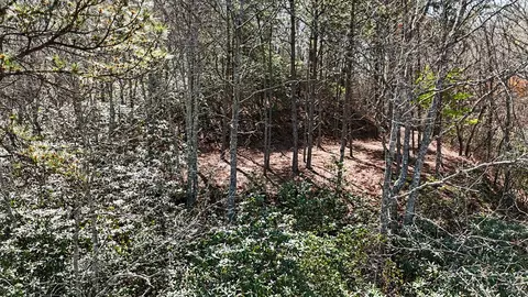 247 Red Hawk Blf, Sylva, NC 28779 photo 23
