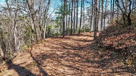 247 Red Hawk Blf, Sylva, NC 28779 photo 10
