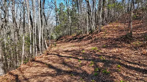 247 Red Hawk Blf, Sylva, NC 28779 photo 9