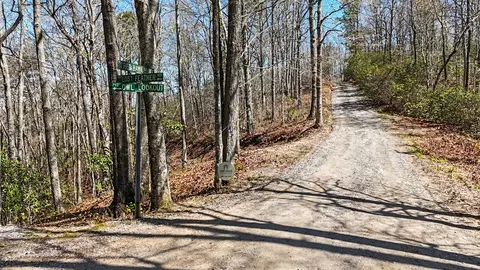 247 Red Hawk Blf, Sylva, NC 28779 photo 6