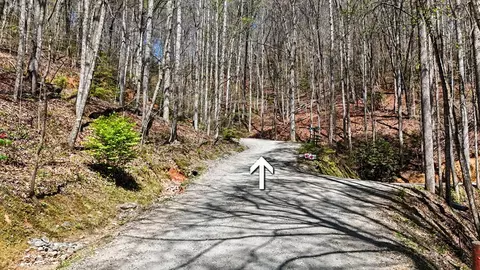 247 Red Hawk Blf, Sylva, NC 28779 photo 37