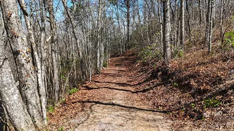 247 Red Hawk Blf, Sylva, NC 28779 photo 8