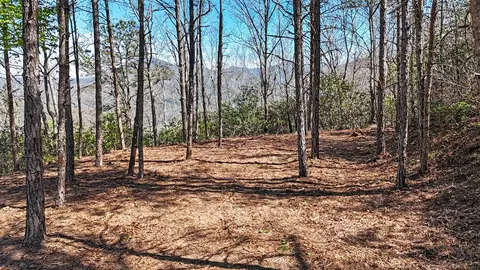 247 Red Hawk Blf, Sylva, NC 28779 photo 12