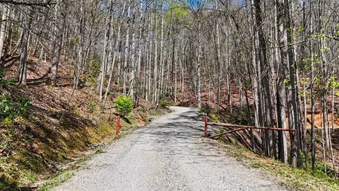 247 Red Hawk Blf, Sylva, NC 28779 photo 36