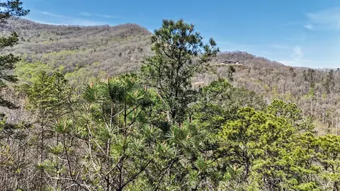 247 Red Hawk Blf, Sylva, NC 28779 photo 19